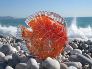 poisson orange