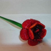 Fleur/8